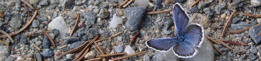 header-photo